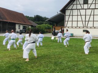 Mehrere Karateka trainieren auf einer Wiese.