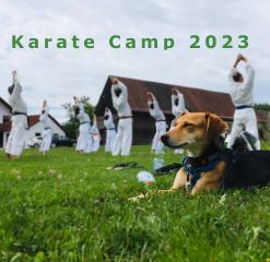 Aufwärmen vor dem Karate auf der Wiese. Im Vordergrund liegt ein Hund.